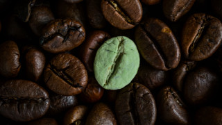 Green cookie coffee beans bug - coffee bean free wallpaper