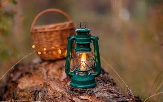 Green lantern tree stump basket - in a field free wallpaper