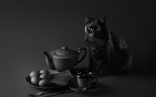 Black cat teapot teacup plate - noir free wallpaper