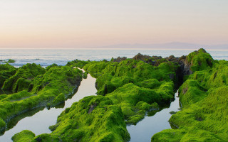 Lake mountain forest moss green - rock and grass free wallpaper for desktop