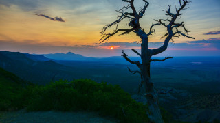 Tree hill sunset clouds nature - a sunset in the background free wallpaper for desktop