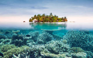 Coral reef island ecological art - a coral reef free wallpaper for desktop