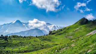Mountain range grassy slope trees - panoramic free wallpaper