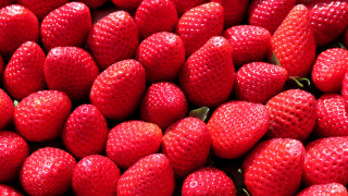Strawberries mingei macro berries food - a pile free wallpaper