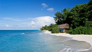 Beach hut shore water trees - a hut free wallpaper