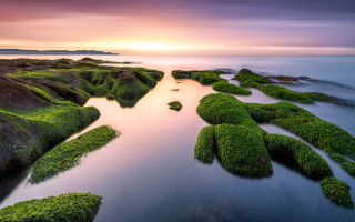 Sunset rocky beach moss water 3 - a long exposure of a sunset over a rocky beach free wallpaper
