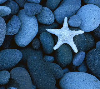Starfish rocks gravel ocean water - free stars wallpaper for tablet