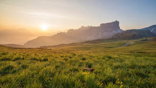 Grassy field mountain sunset trail 2 - a few yellow flower free wallpaper
