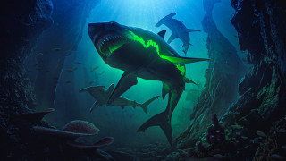 Sharks deepblue sea light bioluminescence - a person in the background free wallpaper
