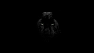 Black panther green eyes dark 2 - thing free wallpaper
