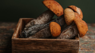Wooden box mushrooms food photography - a wooden box free wallpaper