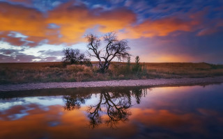 Tree water sunset reflection clouds - a body of water free wallpaper for desktop