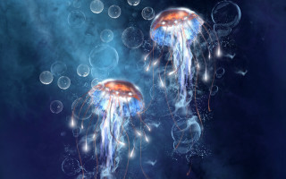 Jellyfish bubbles fantasy space planet - bubble of water free wallpaper