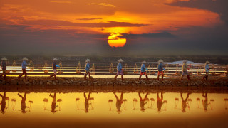 Beach umbrella sunset group people - arthur pan free wallpaper