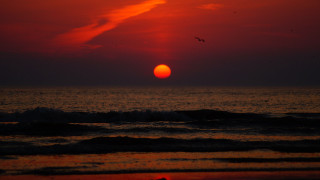 Sunset ocean bird cloud mountain - a red sky free wallpaper for desktop