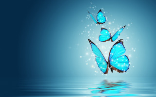 Blue butterflies water stars reflection - florianne becker free wallpaper