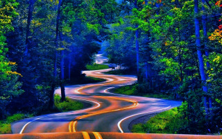 Psychedelic surrealist road trees bushes - vibrant free wallpaper