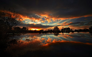 Sunset reflection lake trees clouds - reflective free wallpaper