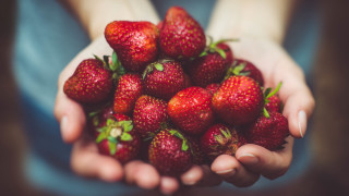 Strawberry hands blurry background food - a blurry background of the image free wallpaper