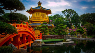 Yellow pagoda bridge tiltshift saturated - adrian zingg free wallpaper