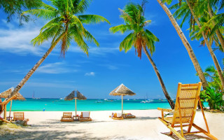 Beach chairs umbrellas palm trees 2 - chair and umbrellas free wallpaper