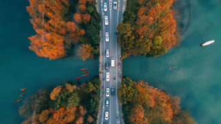 Road water trees boat autumn - les automatiste free wallpaper