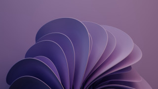 Purple abstract curved design gradient - affinity photo free wallpaper for desktop