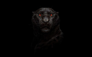 Black leopard red eyes glowing - art of brom free wallpaper