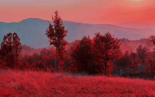 Red sunset mountain trees lake - a red sky in the background free wallpaper for desktop