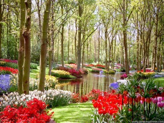 Garden pond trees flowers nature - claude monet free wallpaper