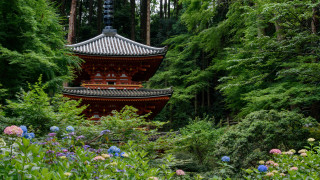 Pagoda forest flower path tilt - japan eishōsai chōki free wallpaper