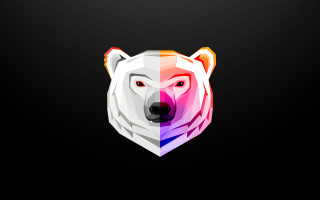 Bear multicolored design vector lyco - face free wallpaper