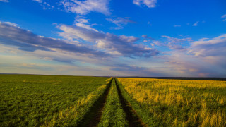 Field clouds horizon grass sunset - free sky wallpaper