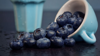 Blue cup blueberries water ice - berry free wallpaper