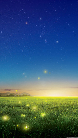 Field grass fireflies night stars - the sky above free wallpaper for mobile