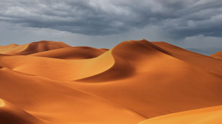 Sand dunes cloudy sky trees 2 - eric deschamps free wallpaper for desktop
