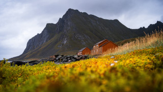 Mountain house flowers ecological autumn - artur grottger free wallpaper
