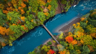 River bridge autumn leaves forest - a bridge in the middle of it free wallpaper