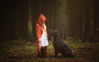 Woman red cape black dog - a red cape free wallpaper