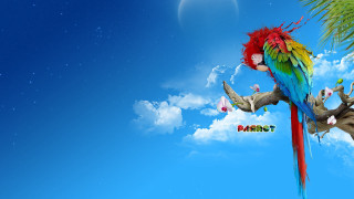 Colorful parrot palm tree blue - a colorful parrot free wallpaper