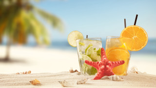 Starfish beach palm drink summer - aquirax uno free wallpaper
