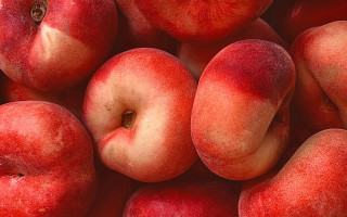 Red apples bite closeup vibrant - red apple free wallpaper