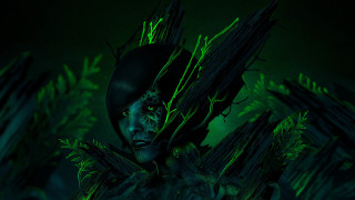 Creepy woman green face dark - green foliage free wallpaper