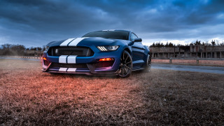 Blue mustang cobra white stripe - dennis flanders free wallpaper