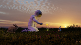 Kneeling person flower bunny field - a flower free wallpaper for desktop