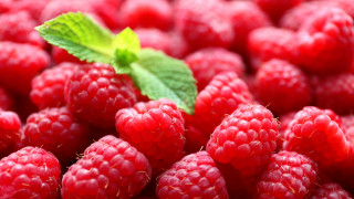 Raspberries leaf closeup berry blood - berry free wallpaper for desktop