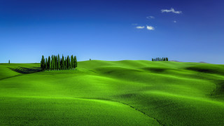 Green field trees blue sky 10 - a green field free wallpaper for desktop