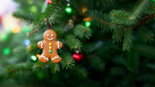 Christmas ornament hanging lights deer - ornament free wallpaper