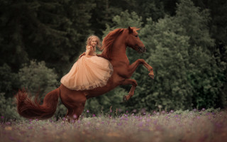 Girl dress horse flower forest - a storybook illustration free wallpaper
