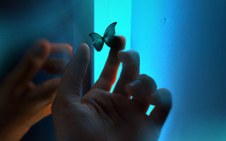 Blue butterfly glowing hologram translucent - a blue light behind them free wallpaper